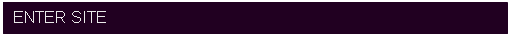 Text Box: ENTER SITE